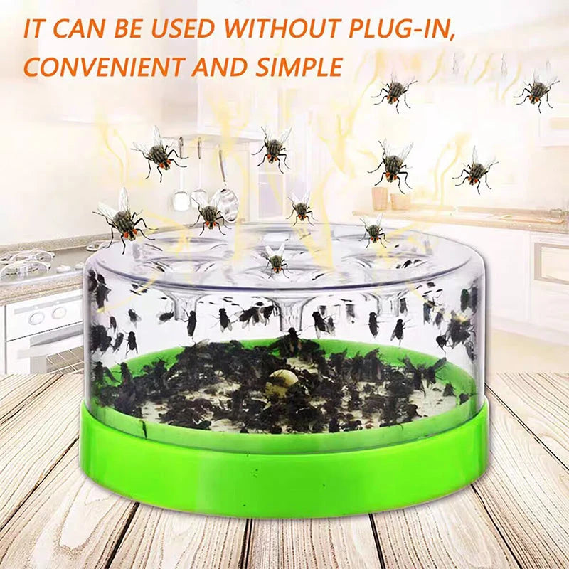 Reusable Non-Toxic Fly Trap