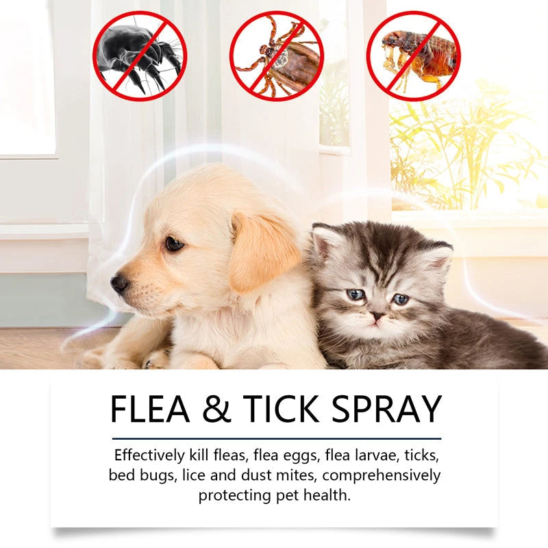 Plant Based Anti-Fungal Spray