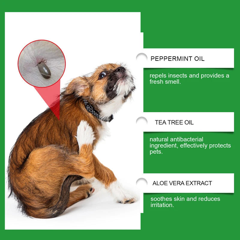 Plant Based Anti-Fungal Spray