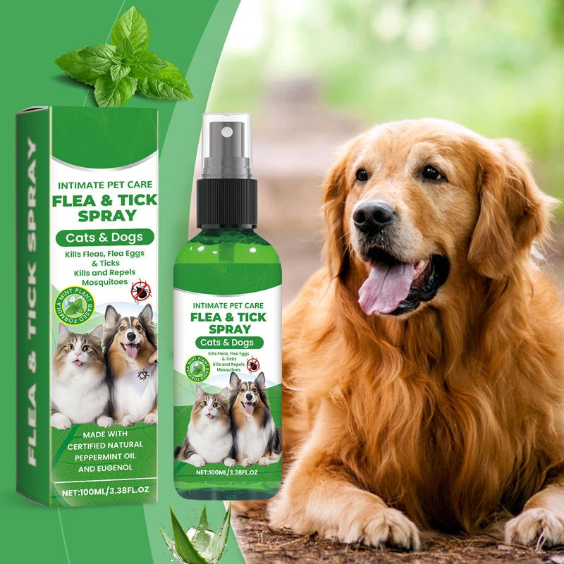 Plant Based Anti-Fungal Spray