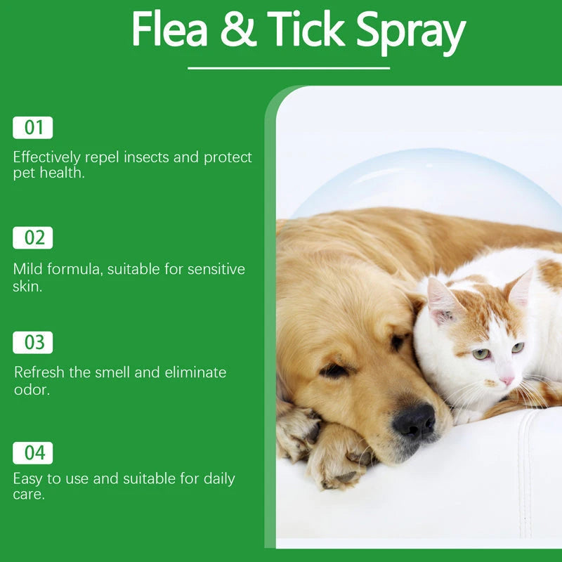 Plant Based Anti-Fungal Spray