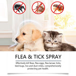 Plant Based Anti-Fungal Spray