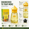 FlyGuard Hanging Fly Trap
