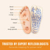 Calming Ear Muffs